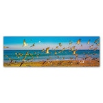Trademark Fine Art ''Florida Beach Birds'' by Preston 6" x 19" Canvas Art (EM0516-C619GG)