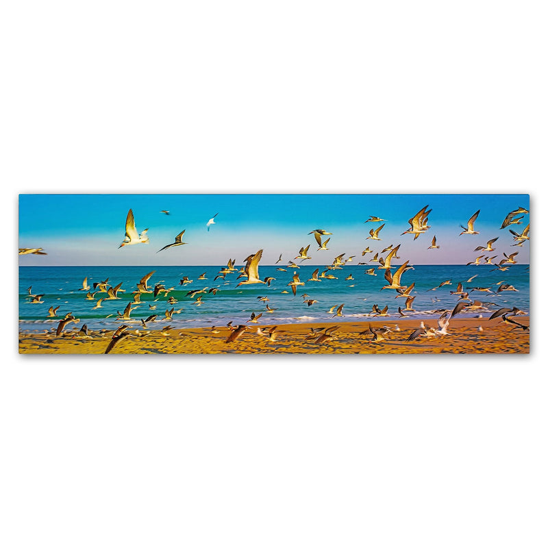 Trademark Fine Art ''Florida Beach Birds'' by Preston 6" x 19" Canvas Art (EM0516-C619GG)