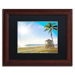 Trademark Fine Art ''Florida Beach Palm'' by Preston 11" x 14" Black Matted Wood Frame (EM0521-W1114BMF)