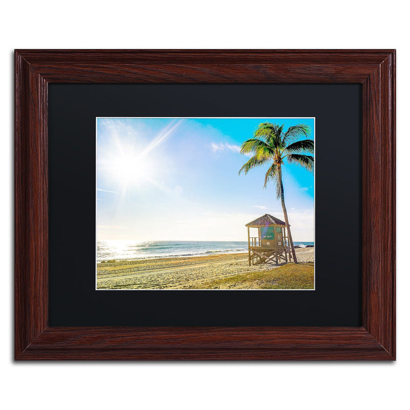 Trademark Fine Art ''Florida Beach Palm'' by Preston 11" x 14" Black Matted Wood Frame (EM0521-W1114BMF)
