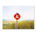 Trademark Fine Art ''Florida Beach Saver'' by Preston 35" x 47" Canvas Art (EM0522-C3547GG)