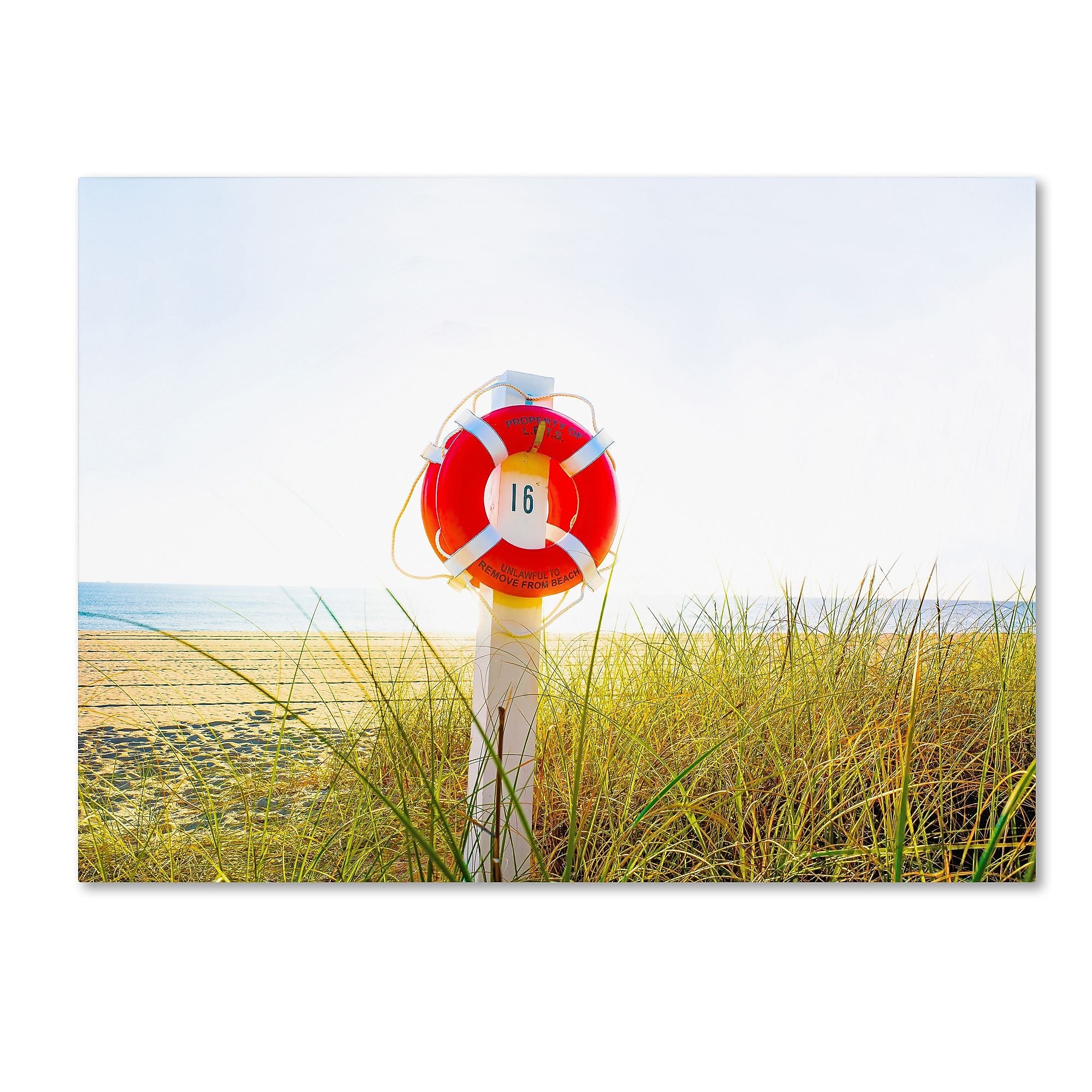 Trademark Fine Art ''Florida Beach Saver'' by Preston 35" x 47" Canvas Art (EM0522-C3547GG)