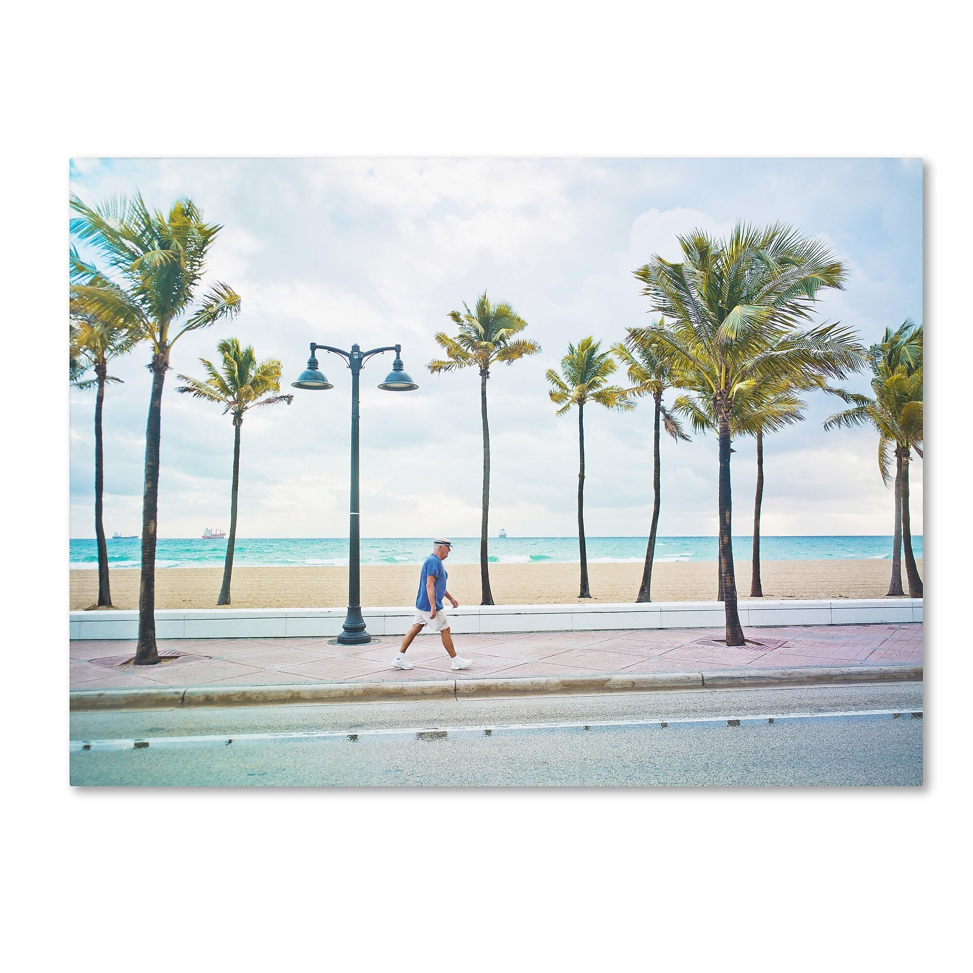 Trademark Fine Art ''Florida Beach Walk'' by Preston 35" x 47" Canvas Art (EM0523-C3547GG)