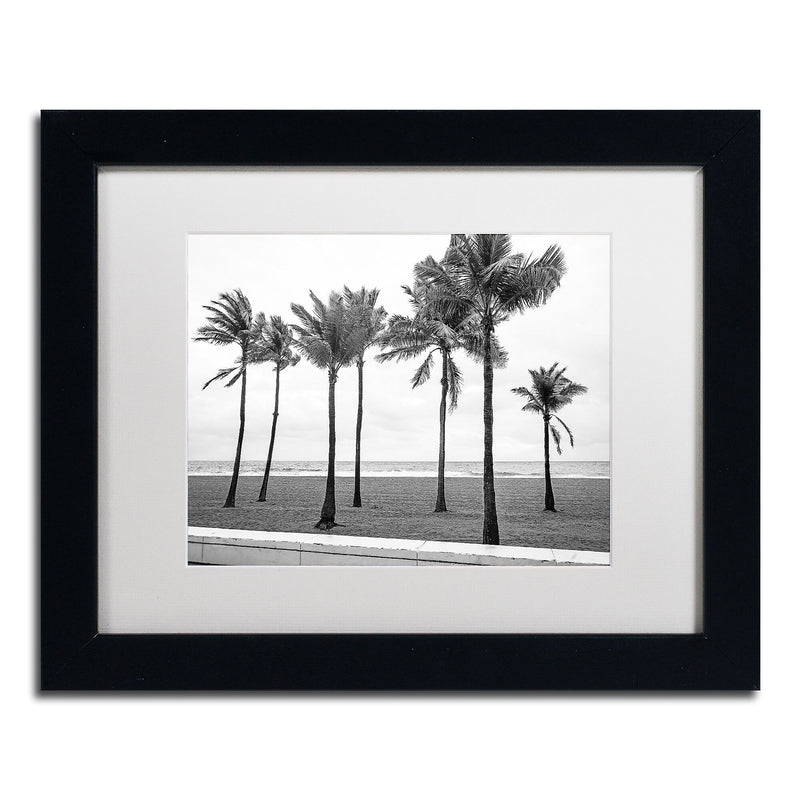 Trademark Fine Art ''Florida BW Beach Palms'' by Preston 11" x 14" White Matted Black Frame (EM0524-B1114MF)