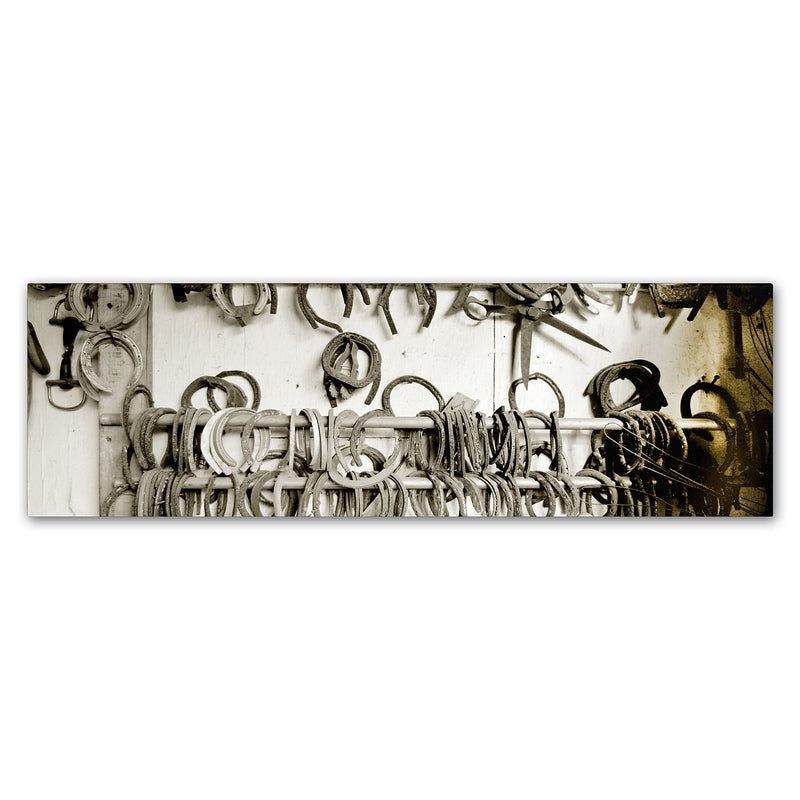Trademark Fine Art ''Horse Shoes'' by Preston 6" x 19" Canvas Art (EM0531-C619GG)