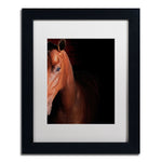 Trademark Fine Art ''Kentucky horse Intense'' by Preston 11" x 14" White Matted Black Frame (EM0535-B1114MF)