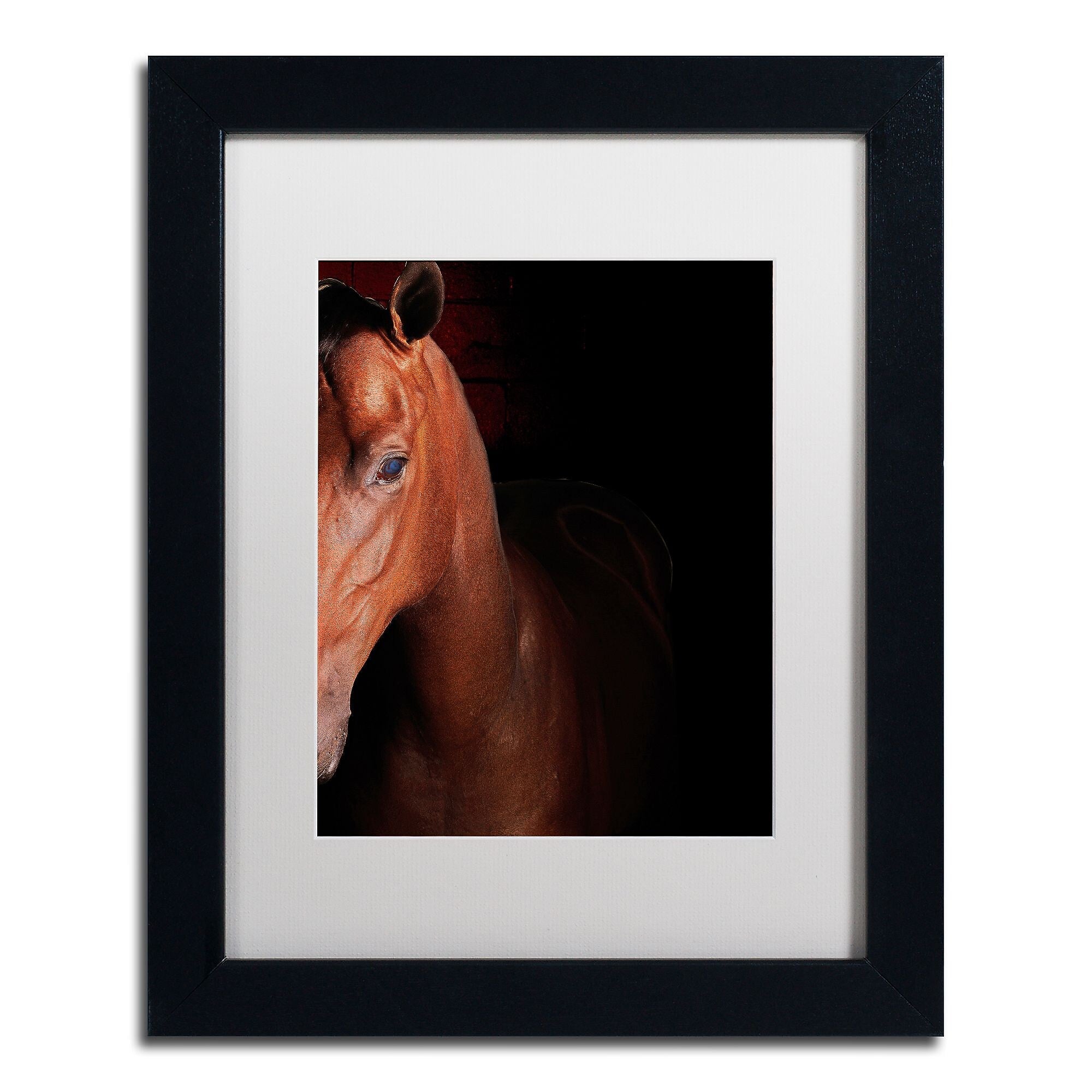 Trademark Fine Art ''Kentucky horse Intense'' by Preston 11" x 14" White Matted Black Frame (EM0535-B1114MF)