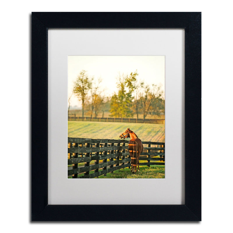 Trademark Fine Art ''Kentucky Horse Sunrise'' by Preston 11" x 14" White Matted Black Frame (EM0536-B1114MF)