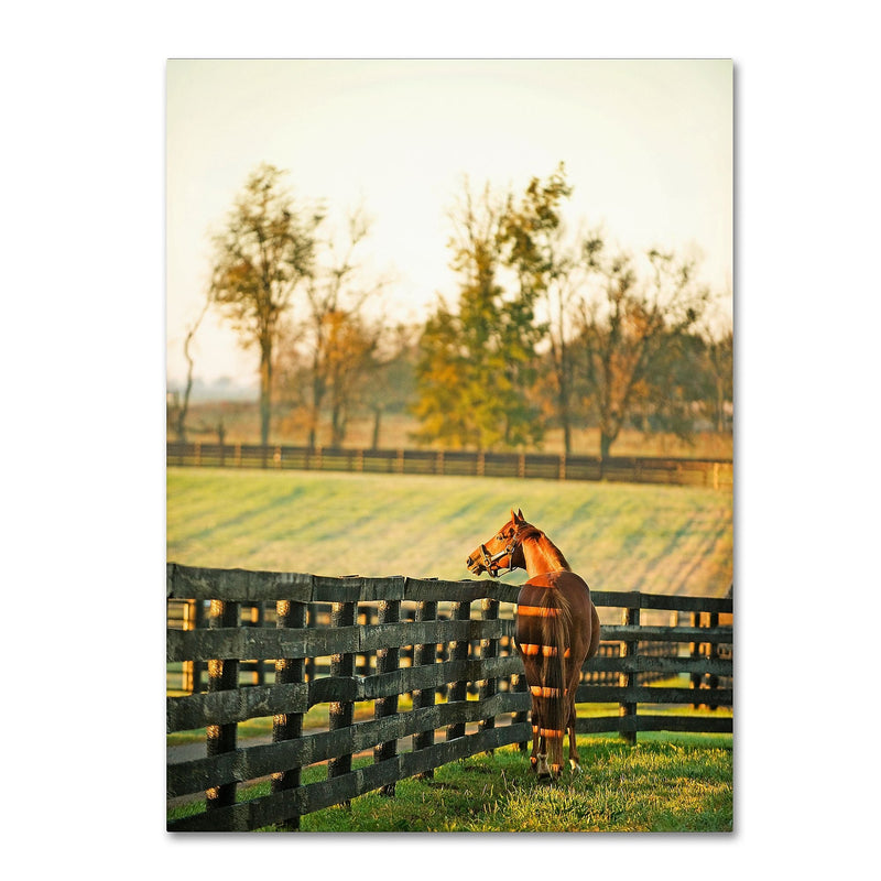 Trademark Fine Art ''Kentucky Horse Sunrise'' by Preston 35" x 47" Canvas Art (EM0536-C3547GG)