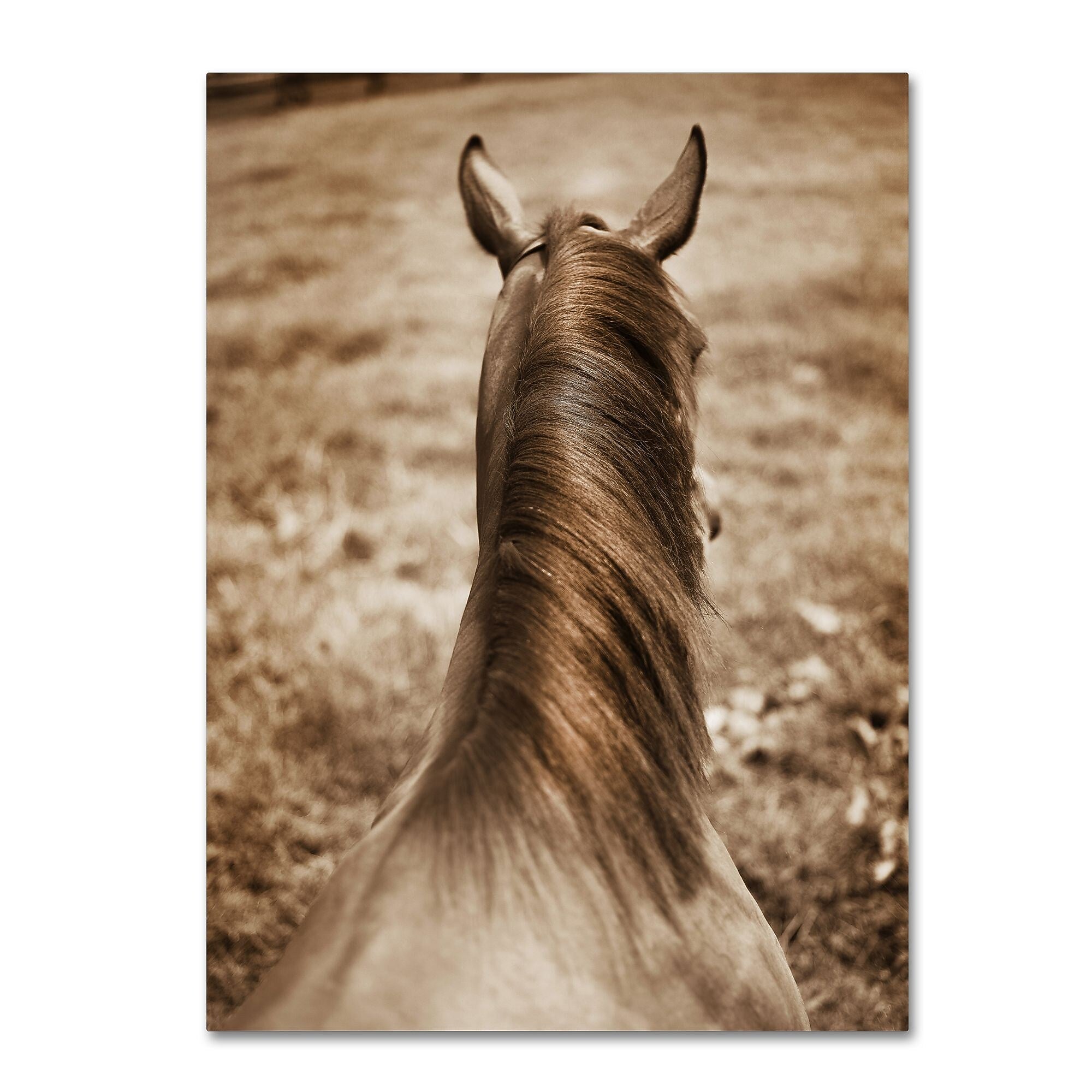 Trademark Fine Art ''Kentucky Horsemane'' by Preston 35" x 47" Canvas Art (EM0538-C3547GG)