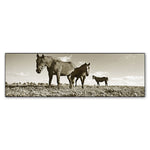 Trademark Fine Art ''Kentucky Horses'' by Preston 6" x 19" Canvas Art (EM0539-C619GG)