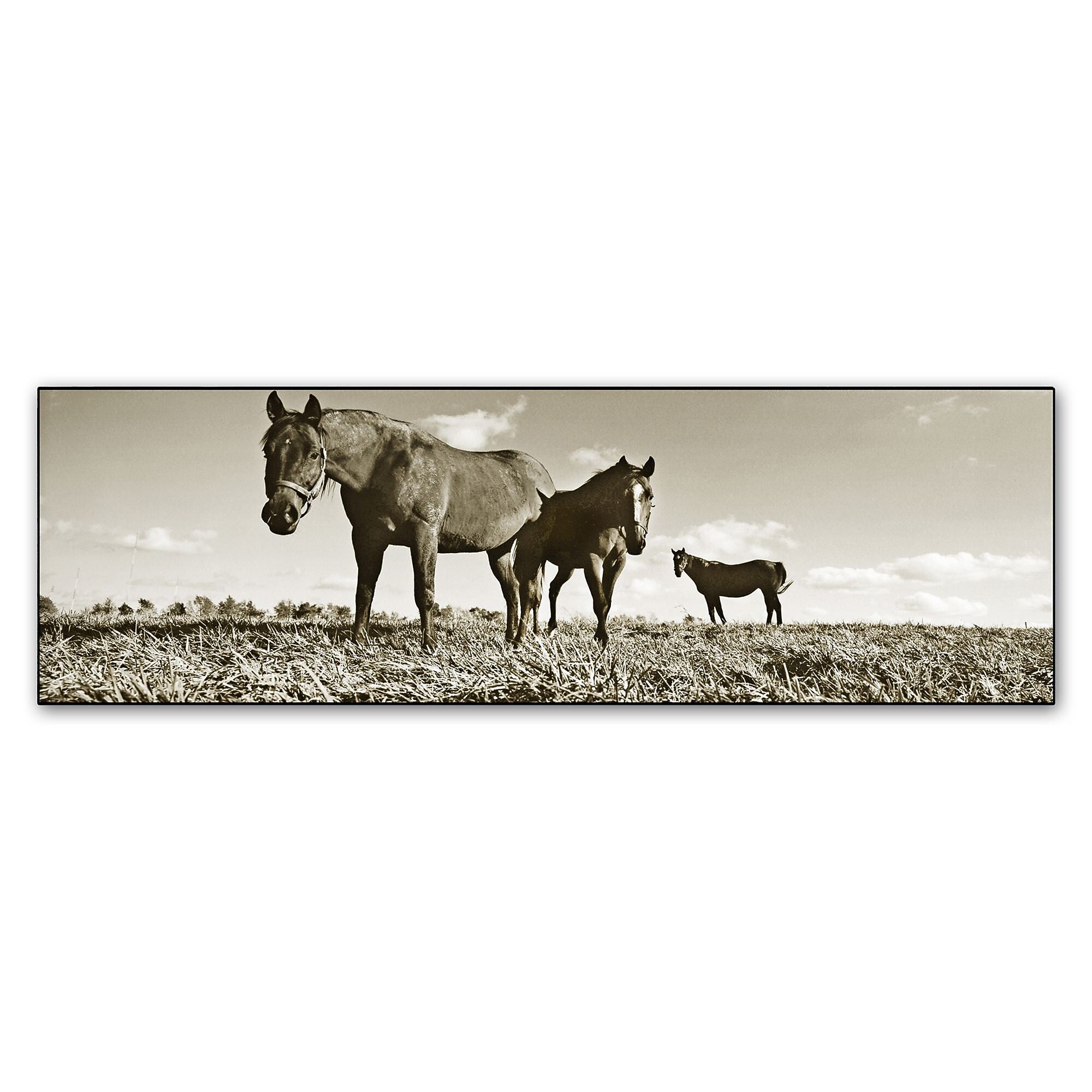 Trademark Fine Art ''Kentucky Horses'' by Preston 6" x 19" Canvas Art (EM0539-C619GG)