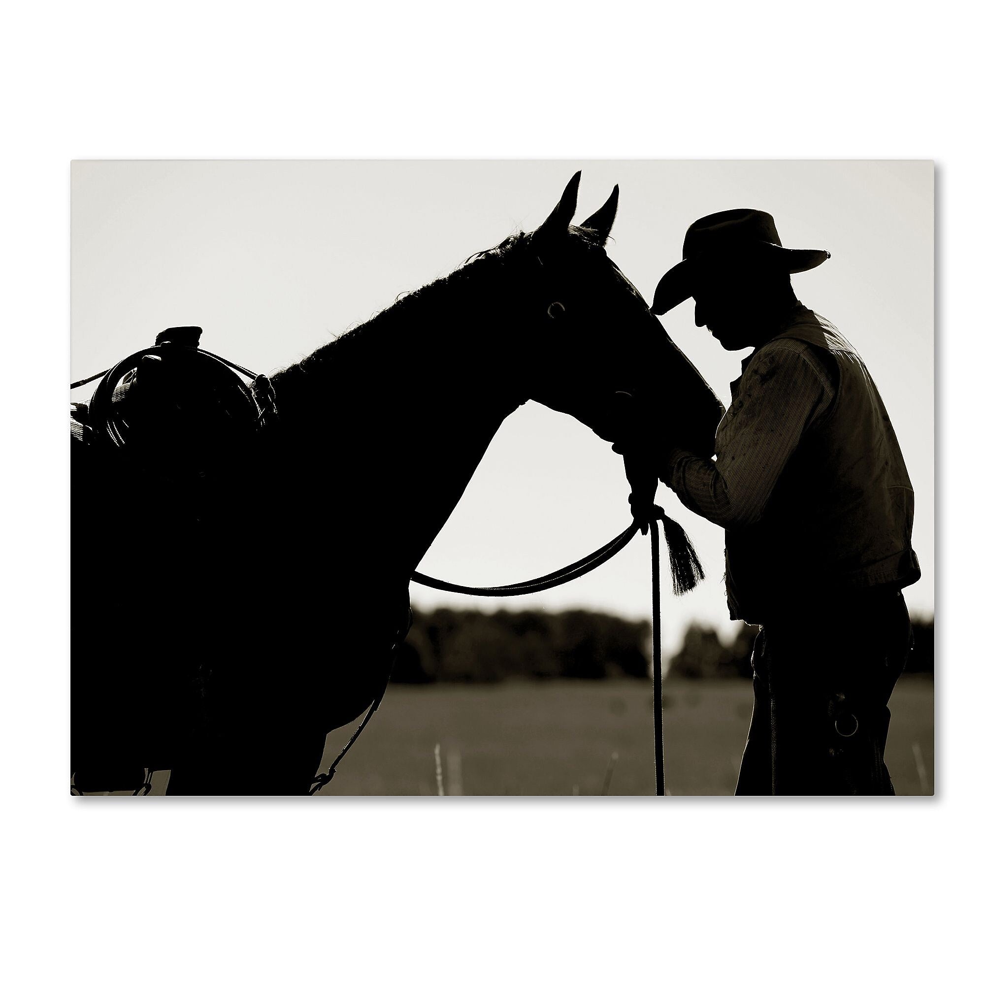 Trademark Fine Art ''Montana Horse Rancher Shadow'' by Preston 35" x 47" Canvas Art (EM0543-C3547GG)