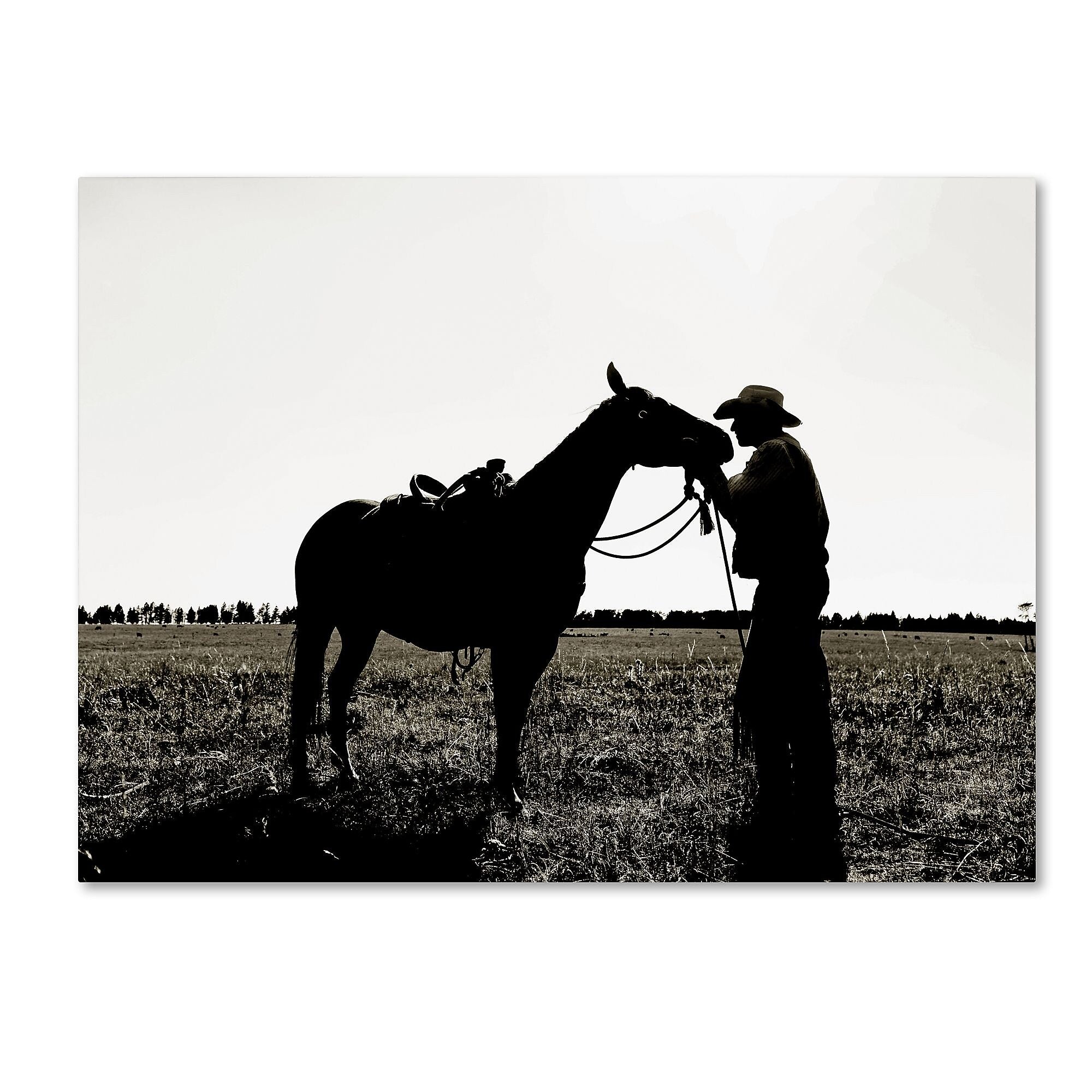 Trademark Fine Art ''Montana Horse Rancher Shadow 2'' by Preston 35" x 47" Canvas Art (EM0544-C3547GG)