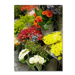 Trademark Fine Art ''Parisian Flowers'' by Preston 35" x 47" Canvas Art (EM0558-C3547GG)