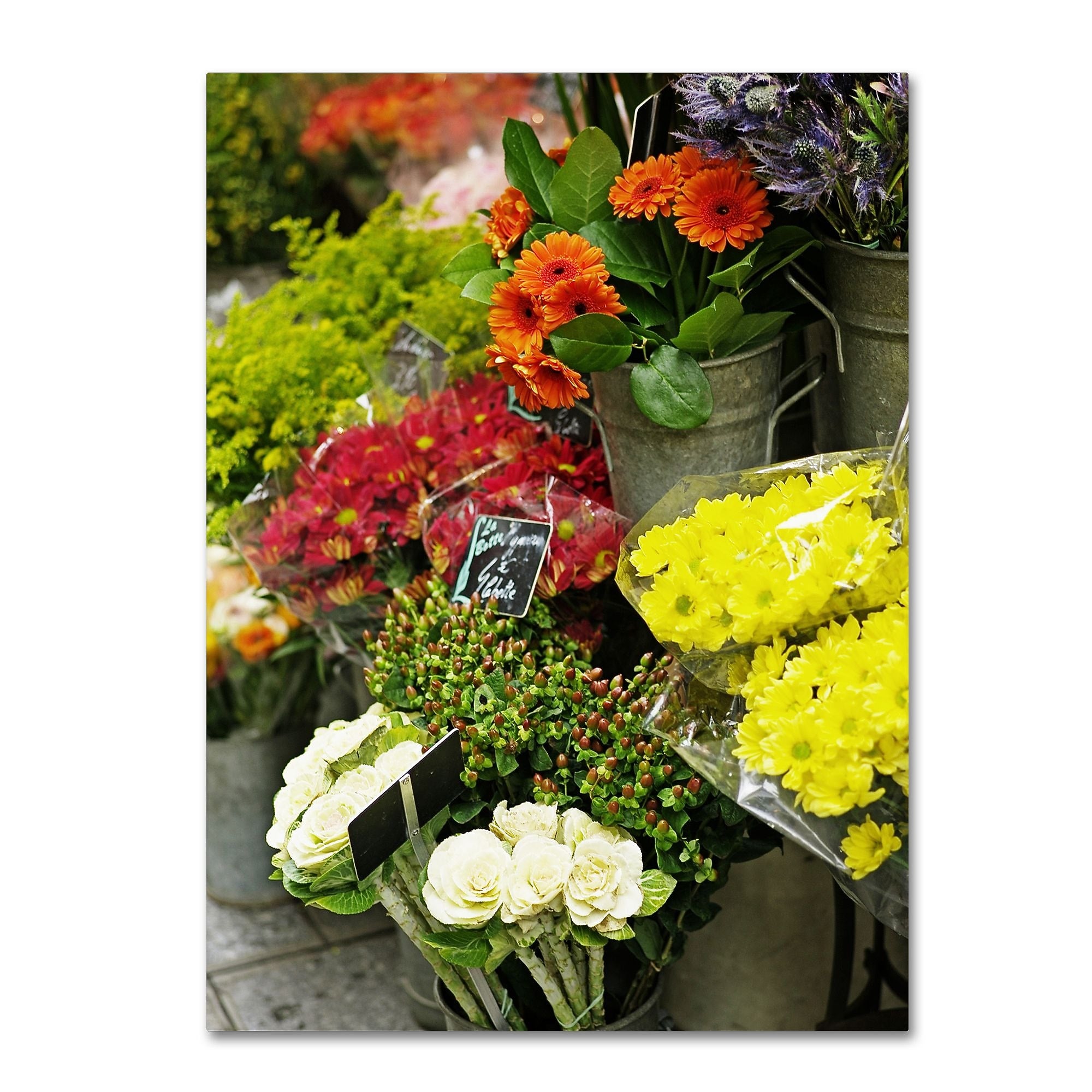 Trademark Fine Art ''Parisian Flowers'' by Preston 35" x 47" Canvas Art (EM0558-C3547GG)
