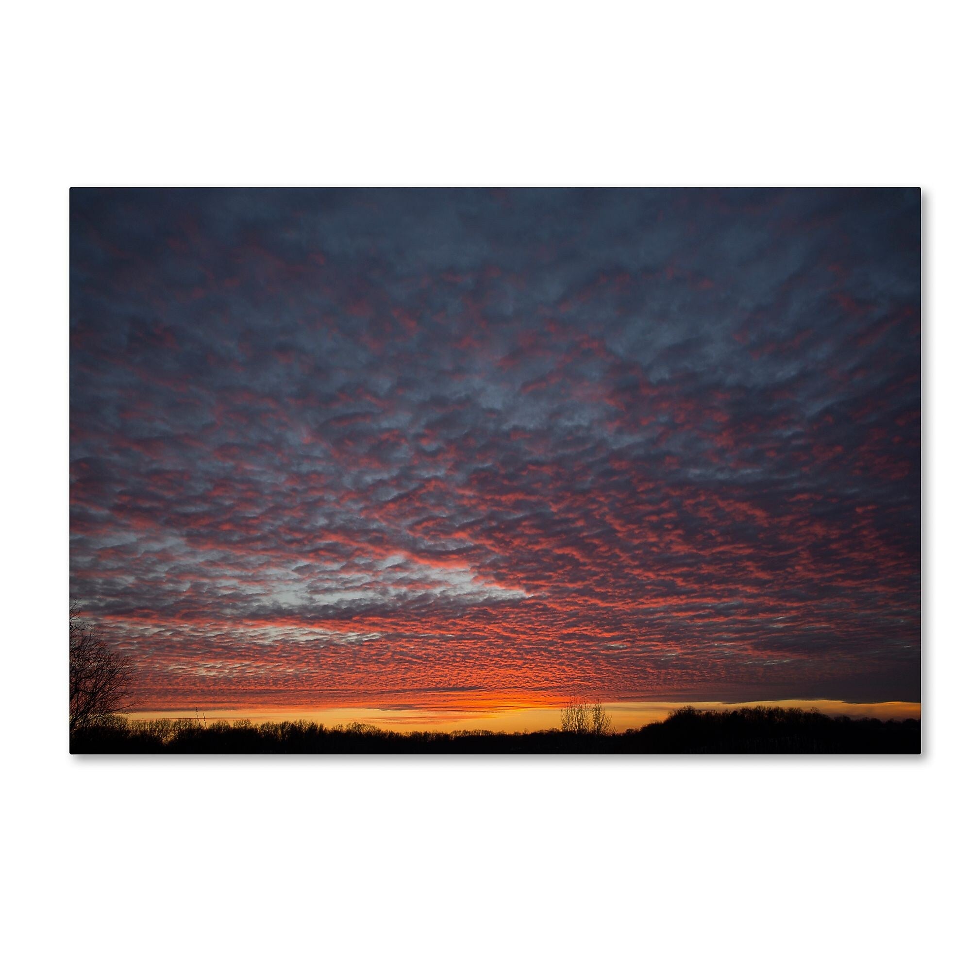 Trademark Fine Art ''Amazing Winter Sunset'' by Kurt Shaffer 16" x 24" Canvas Art (KS01063-C1624GG)