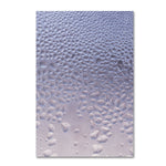 Trademark Fine Art ''Condensation on a Cold Window'' by Kurt Shaffer 22" x 32" Canvas Art (KS01066-C2232GG)