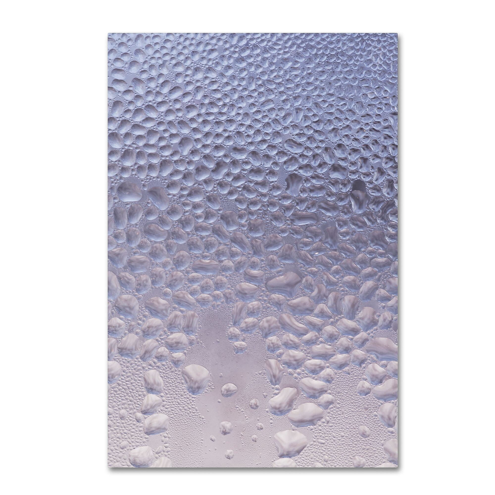 Trademark Fine Art ''Condensation on a Cold Window'' by Kurt Shaffer 22" x 32" Canvas Art (KS01066-C2232GG)