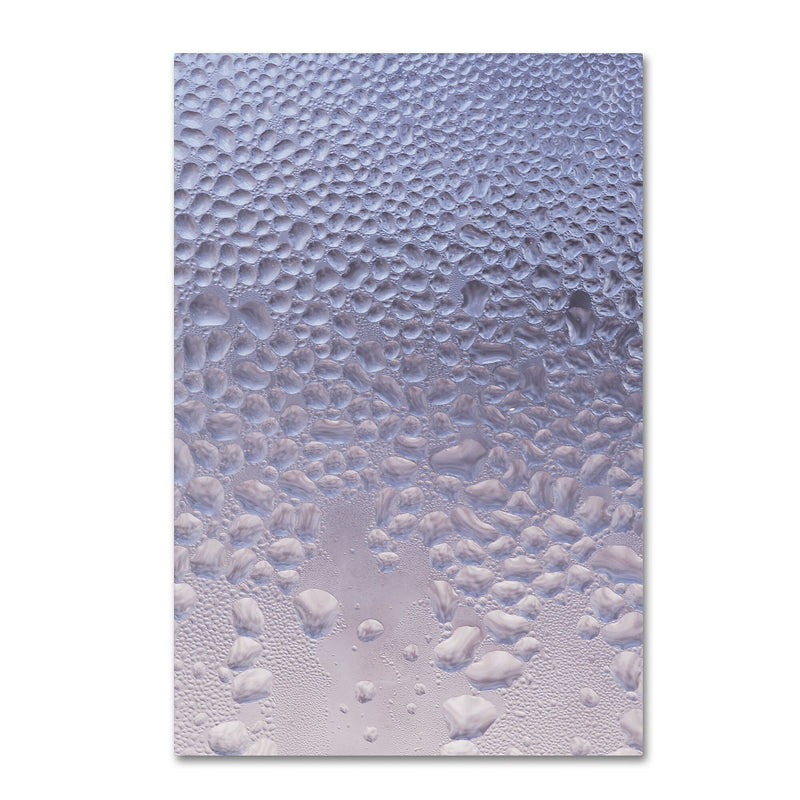 Trademark Fine Art ''Condensation on a Cold Window'' by Kurt Shaffer 22" x 32" Canvas Art (KS01066-C2232GG)