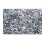 Trademark Fine Art ''Frost Mosaic'' by Kurt Shaffer 16" x 24" Canvas Art (KS01072-C1624GG)