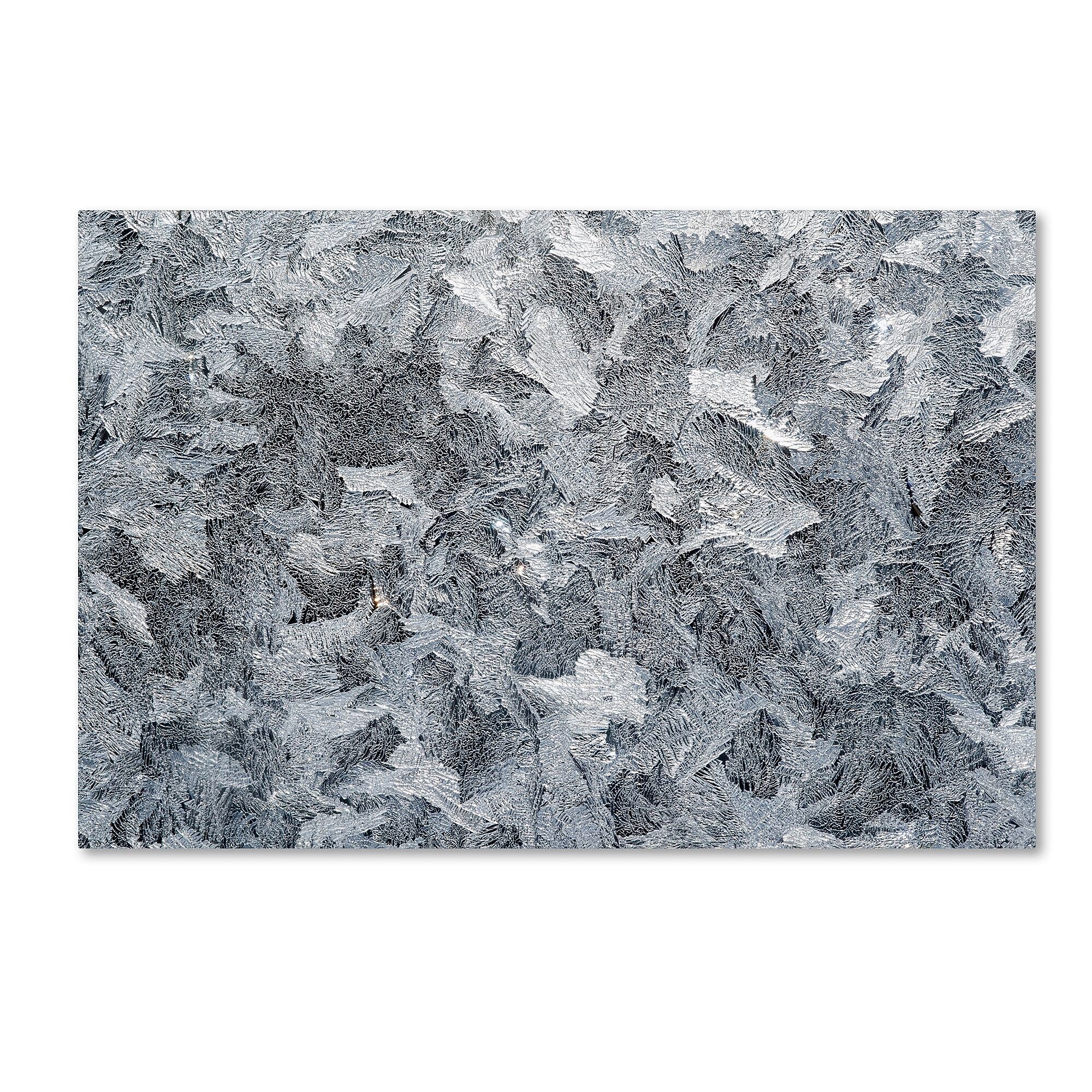 Trademark Fine Art ''Frost Mosaic'' by Kurt Shaffer 16" x 24" Canvas Art (KS01072-C1624GG)