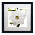 Trademark Fine Art ''Paper White 2'' by Kurt Shaffer 16" x 16" White Matted Black Frame (KS01075-B1616MF)
