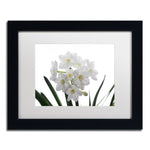 Trademark Fine Art ''Paper White Bouquet'' by Kurt Shaffer 11" x 14" White Matted Black Frame (KS01076-B1114MF)