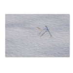 Trademark Fine Art ''Winters Bleak Beauty'' by Kurt Shaffer 16" x 24" Canvas Art (KS01079-C1624GG)