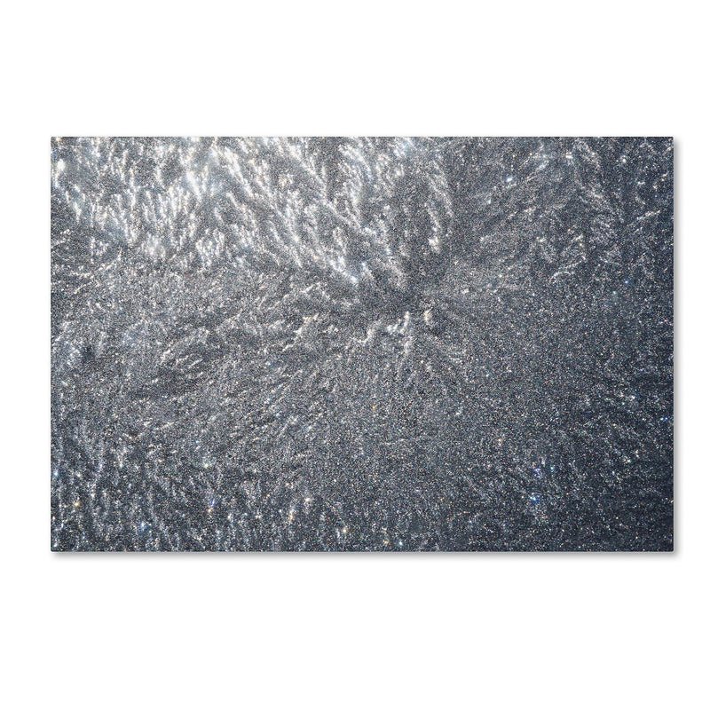 Trademark Fine Art ''Sunlight Frost Abstract'' by Kurt Shaffer 16" x 24" Canvas Art (KS01100-C1624GG)