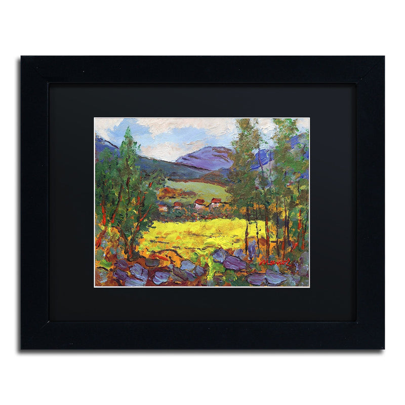 Trademark Fine Art ''Gilded Glade'' by Manor Shadian 11" x 14" Black Matted Black Frame (MA0619-B1114BMF)