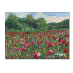 Trademark Fine Art ''Poppy Field Wood'' by Manor Shadian 35" x 47" Canvas Art (MA0620-C3547GG)
