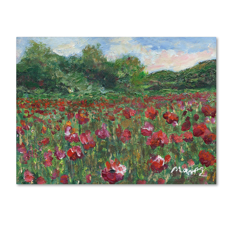 Trademark Fine Art ''Poppy Field Wood'' by Manor Shadian 35" x 47" Canvas Art (MA0620-C3547GG)