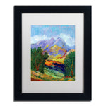 Trademark Fine Art ''Autumn Amber California North'' by Manor Shadian 11" x 14" White Matted Black Frame (MA0623-B1114MF)