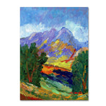 Trademark Fine Art ''Autumn Amber California North'' by Manor Shadian 35" x 47" Canvas Art (MA0623-C3547GG)