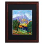 Trademark Fine Art ''Autumn Amber California North'' by Manor Shadian 16" x 20" Black Matted Wood Frame (MA0623-W1620BMF)