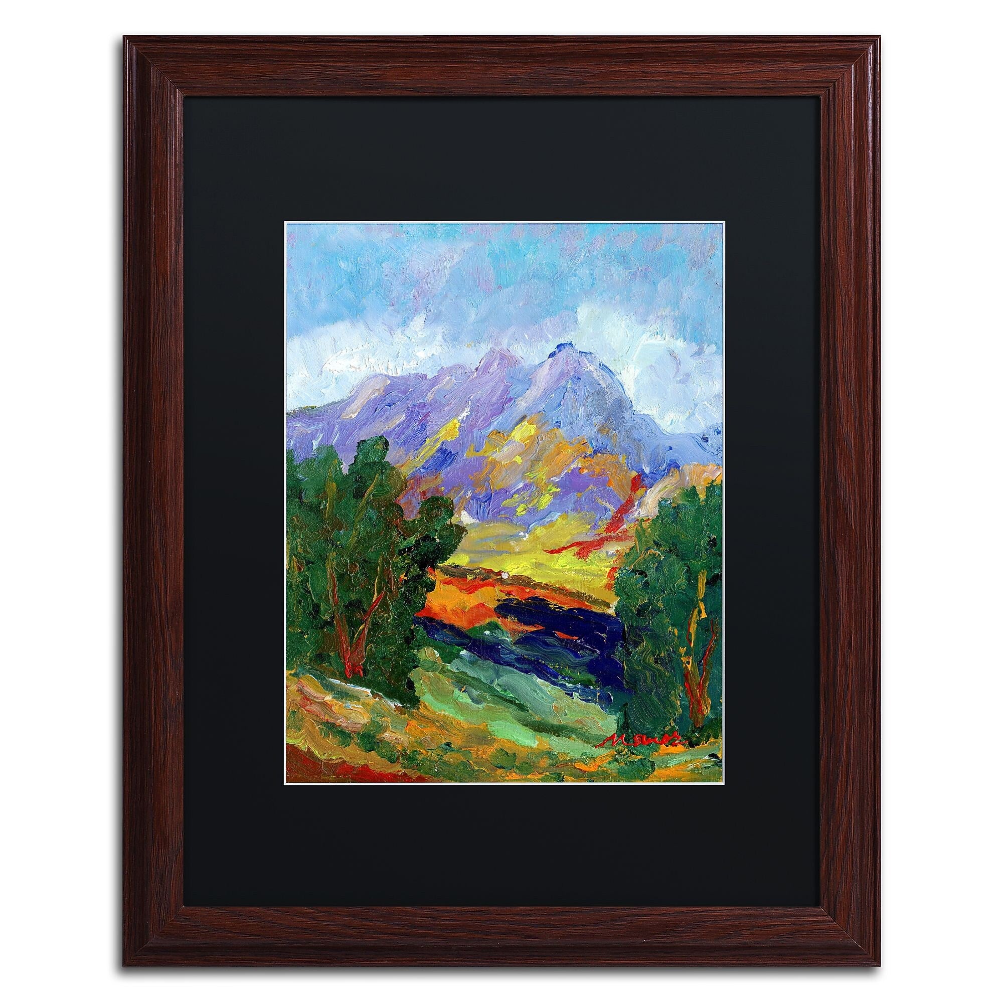 Trademark Fine Art ''Autumn Amber California North'' by Manor Shadian 16" x 20" Black Matted Wood Frame (MA0623-W1620BMF)