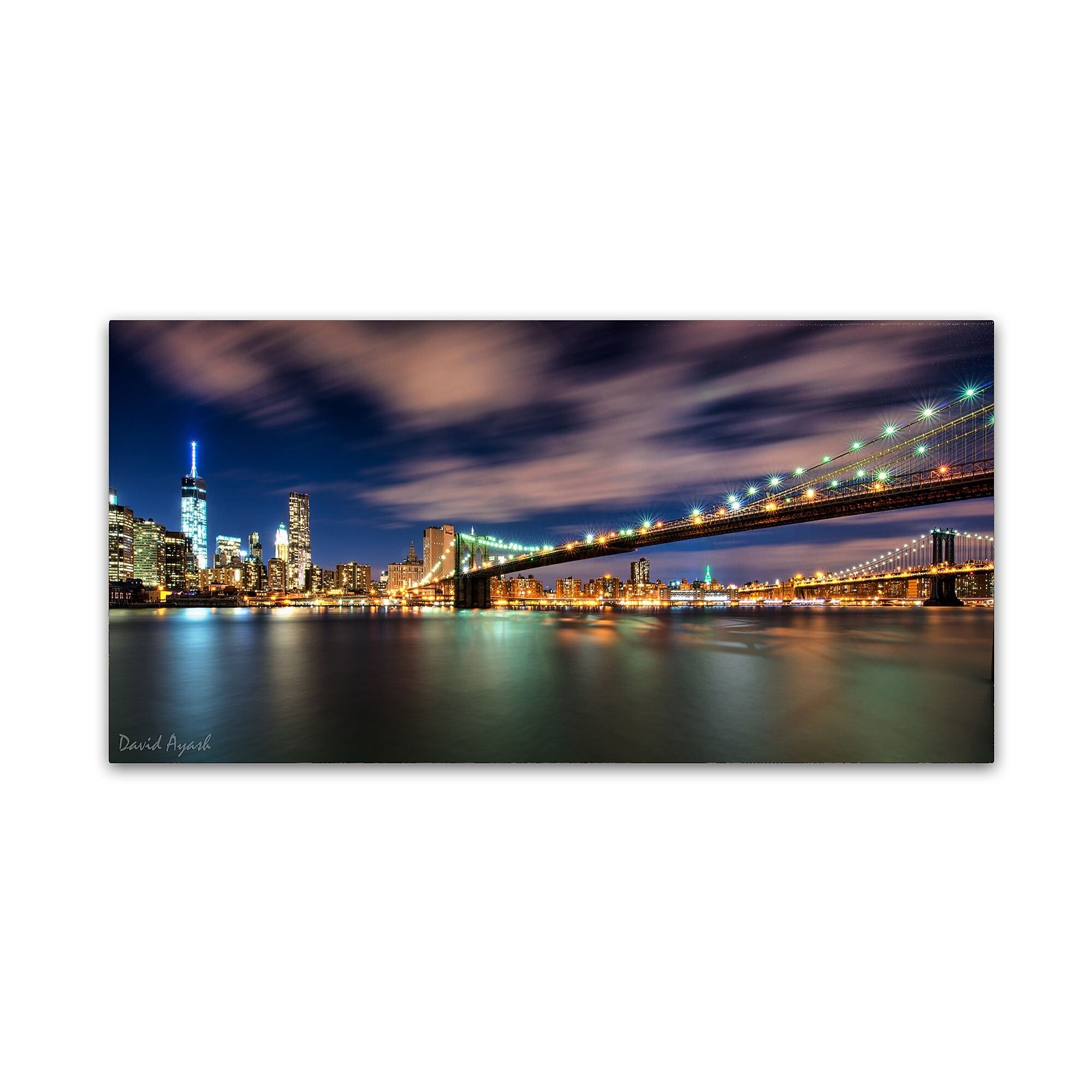 Trademark Fine Art ''Brooklyn Bridge and Downtown'' by David Ayash 12" x 24" Canvas Art (MA0628-C1224GG)
