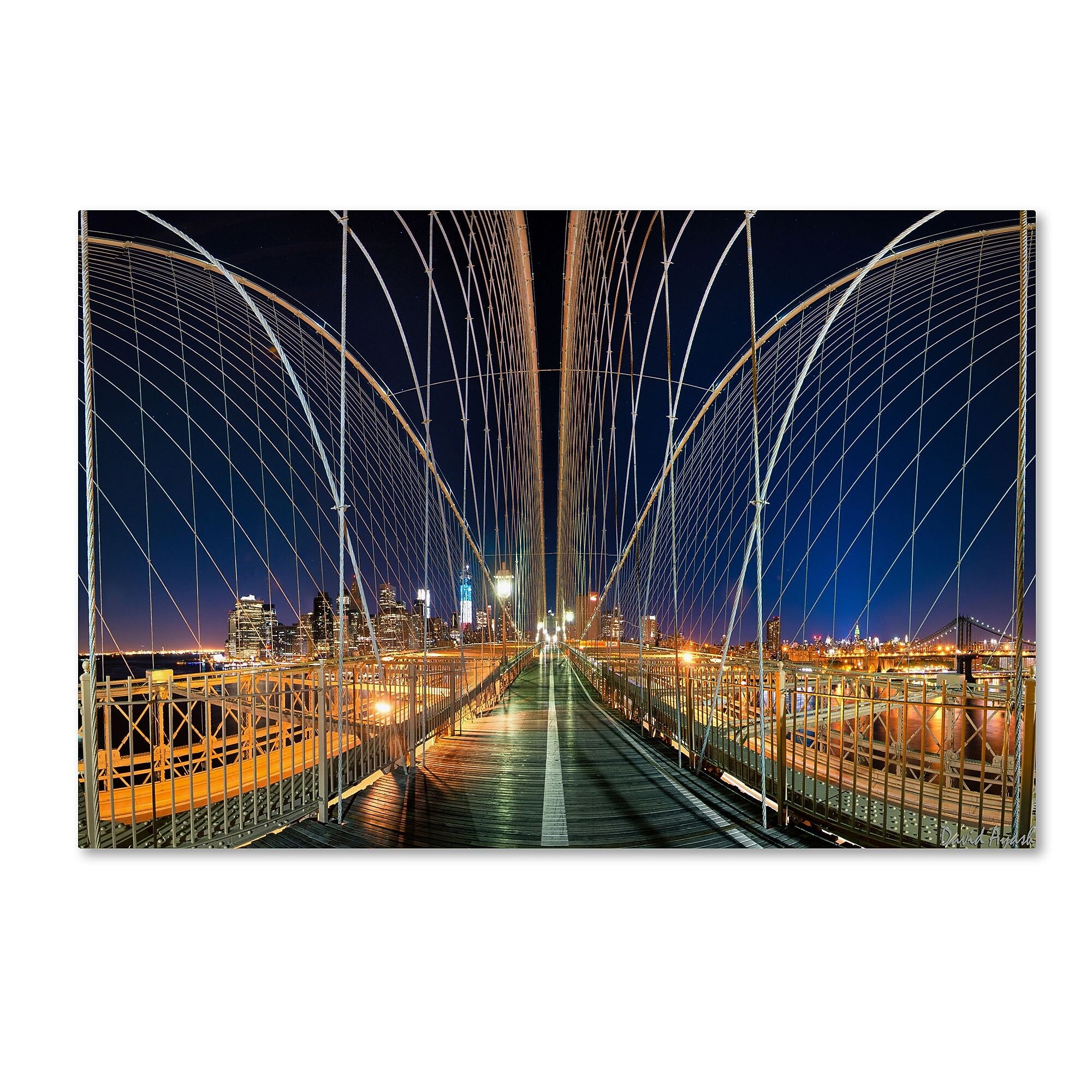 Trademark Fine Art ''Brooklyn Bridge Panorama'' by David Ayash 16" x 24" Canvas Art (MA0629-C1624GG)