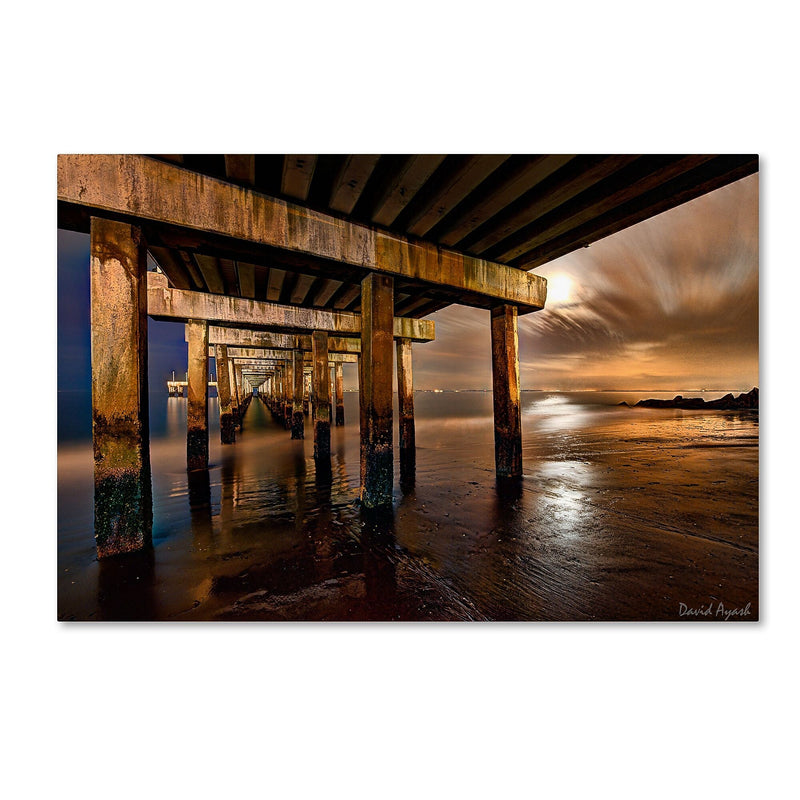 Trademark Fine Art ''Coney Island Pier by Moonlight'' by David Ayash 16" x 24" Canvas Art (MA0631-C1624GG)