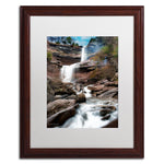 Trademark Fine Art ''Katerskill Fall'' by David Ayash 16" x 20" White Matted Wood Frame (MA0638-W1620MF)