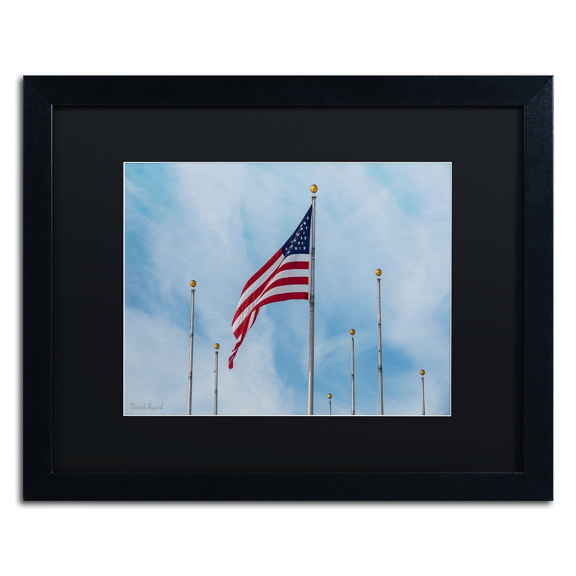 Trademark Fine Art ''Red White & Blue'' by David Ayash 16" x 20" Black Matted Black Frame (MA0640-B1620BMF)