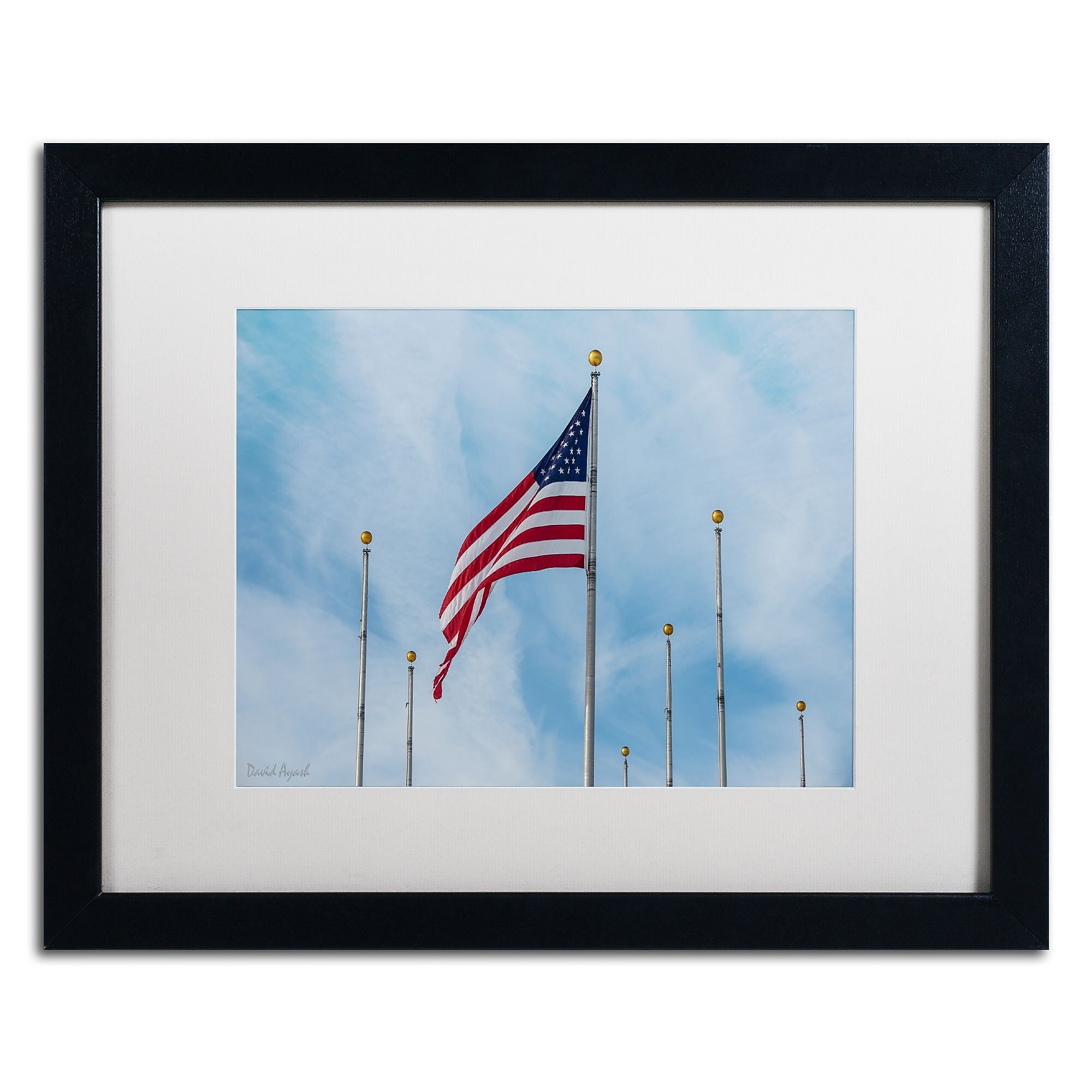 Trademark Fine Art ''Red White & Blue'' by David Ayash 16" x 20" White Matted Black Frame (MA0640-B1620MF)