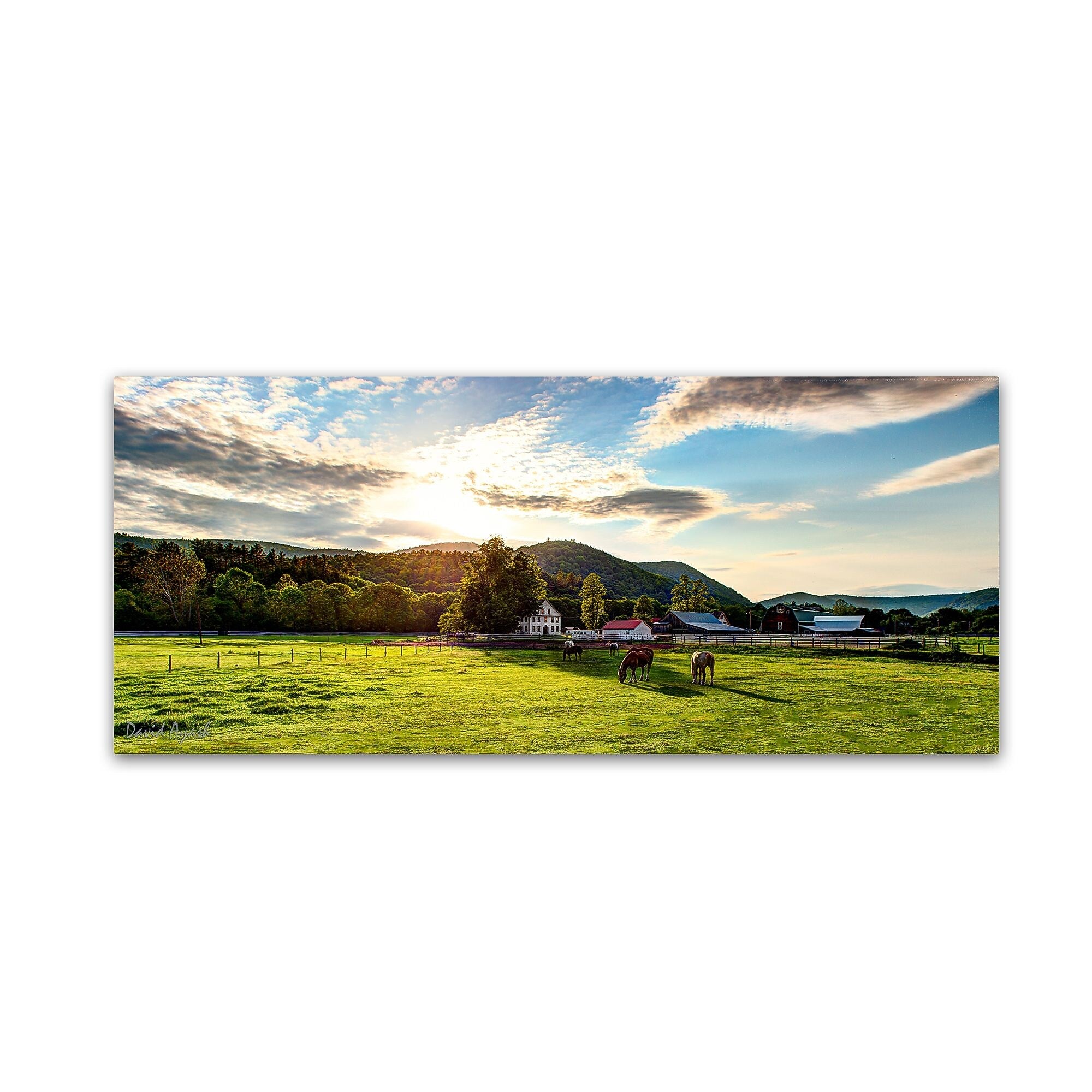 Trademark Fine Art ''Serene Sunset - Vermont'' by David Ayash 10" x 24" Canvas Art (MA0641-C1024GG)