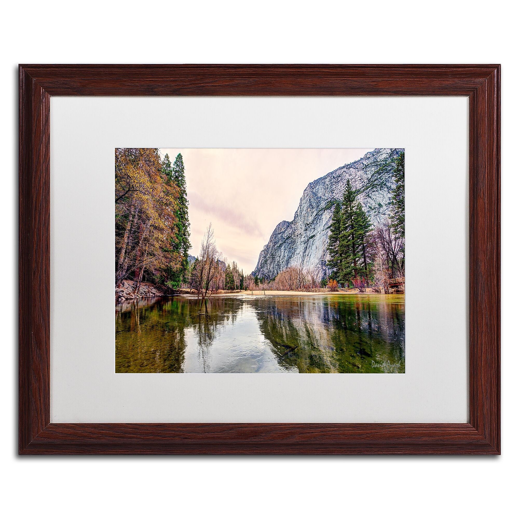 Trademark Fine Art ''Yosemite Valley'' by David Ayash 16" x 20" White Matted Wood Frame (MA0645-W1620MF)