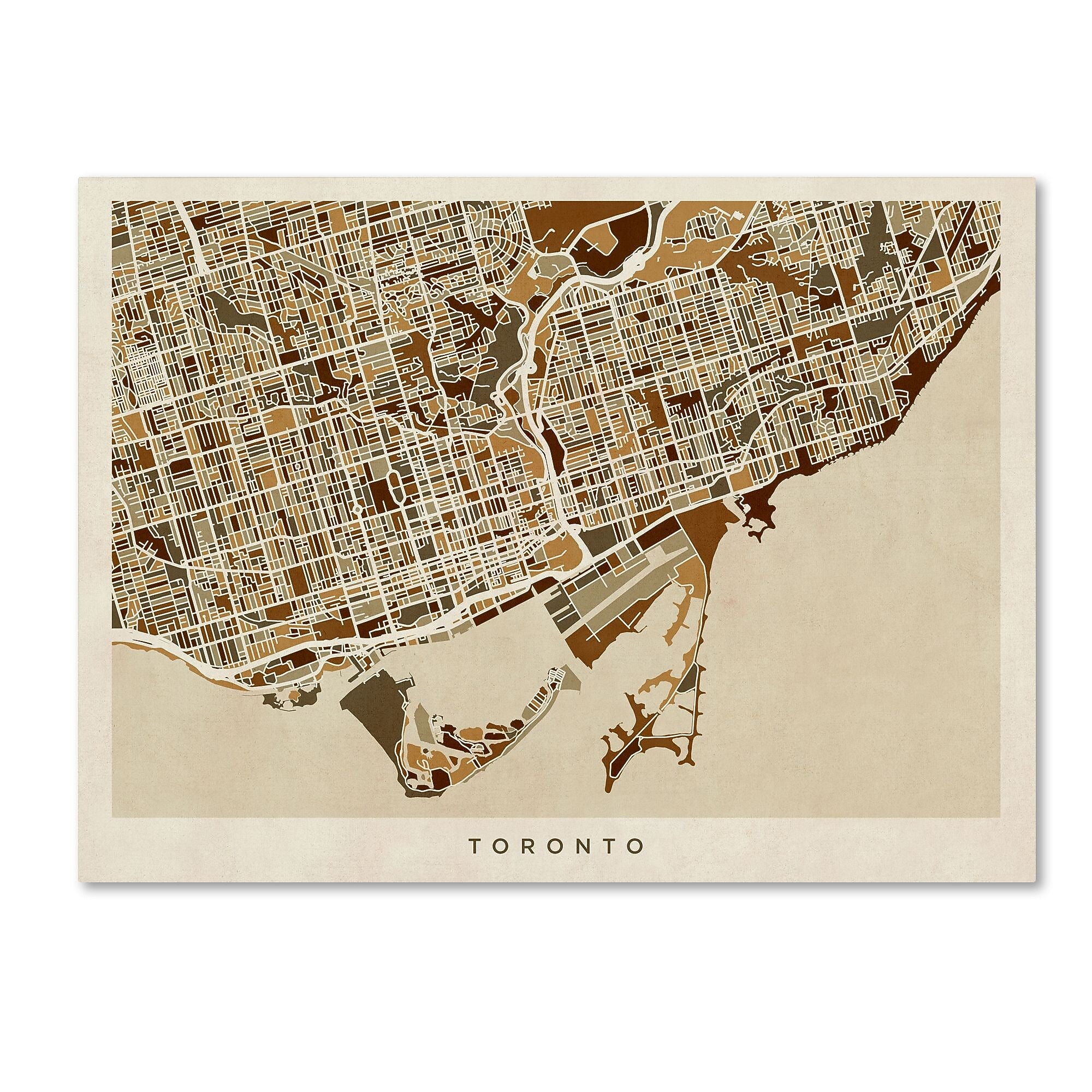 Trademark Fine Art ''Toronto Street Map'' by Michael Tompsett 14" x 19" Canvas Art (MT0864-C1419GG)