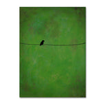 Trademark Fine Art ''Lone Bird Green'' by Nicole Dietz 14" x 19" Canvas Art (ND095-C1419GG)