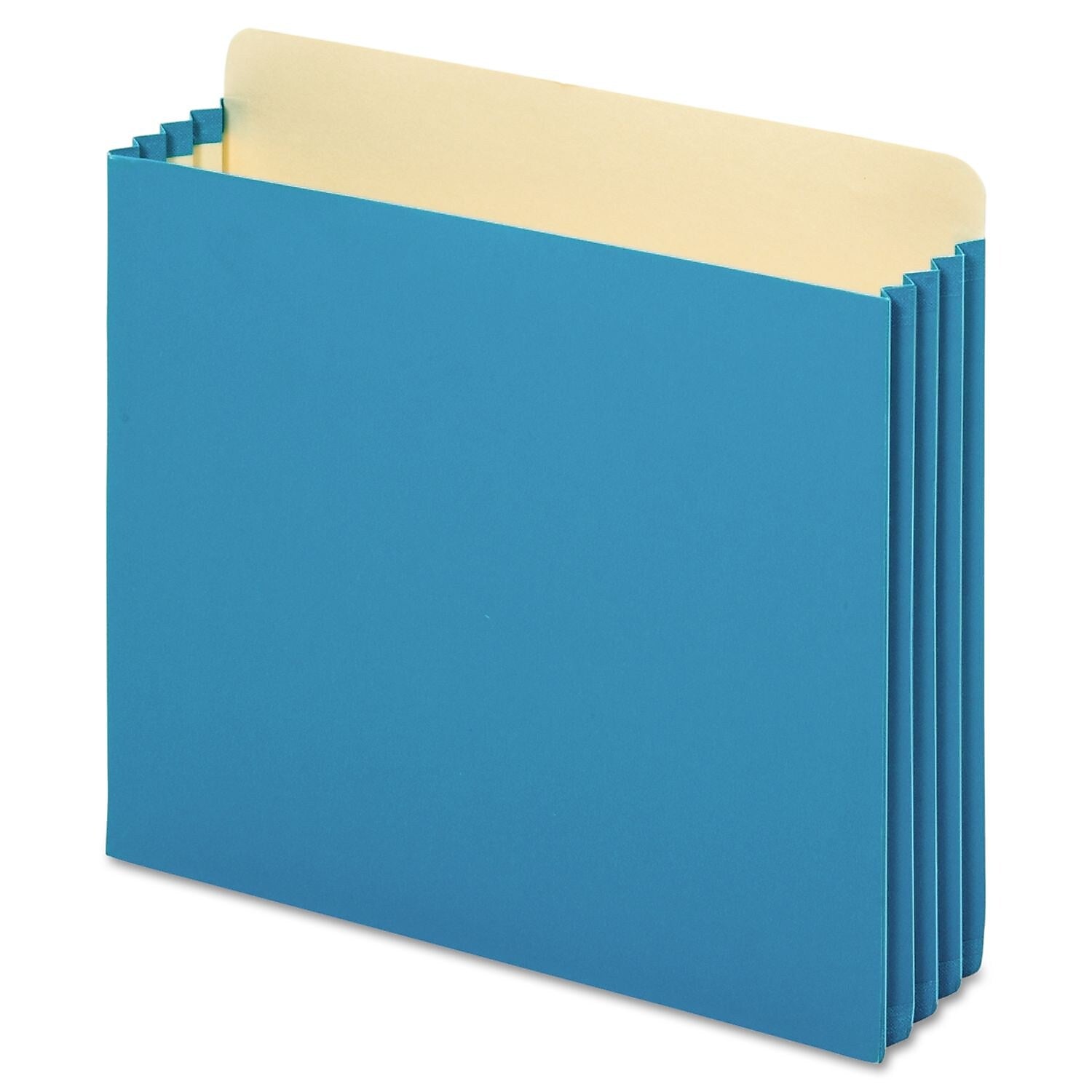 Pendaflex Reinforced File Pocket, 3 1/2" Expansion, Letter Size, Blue (FC1524P BLU)