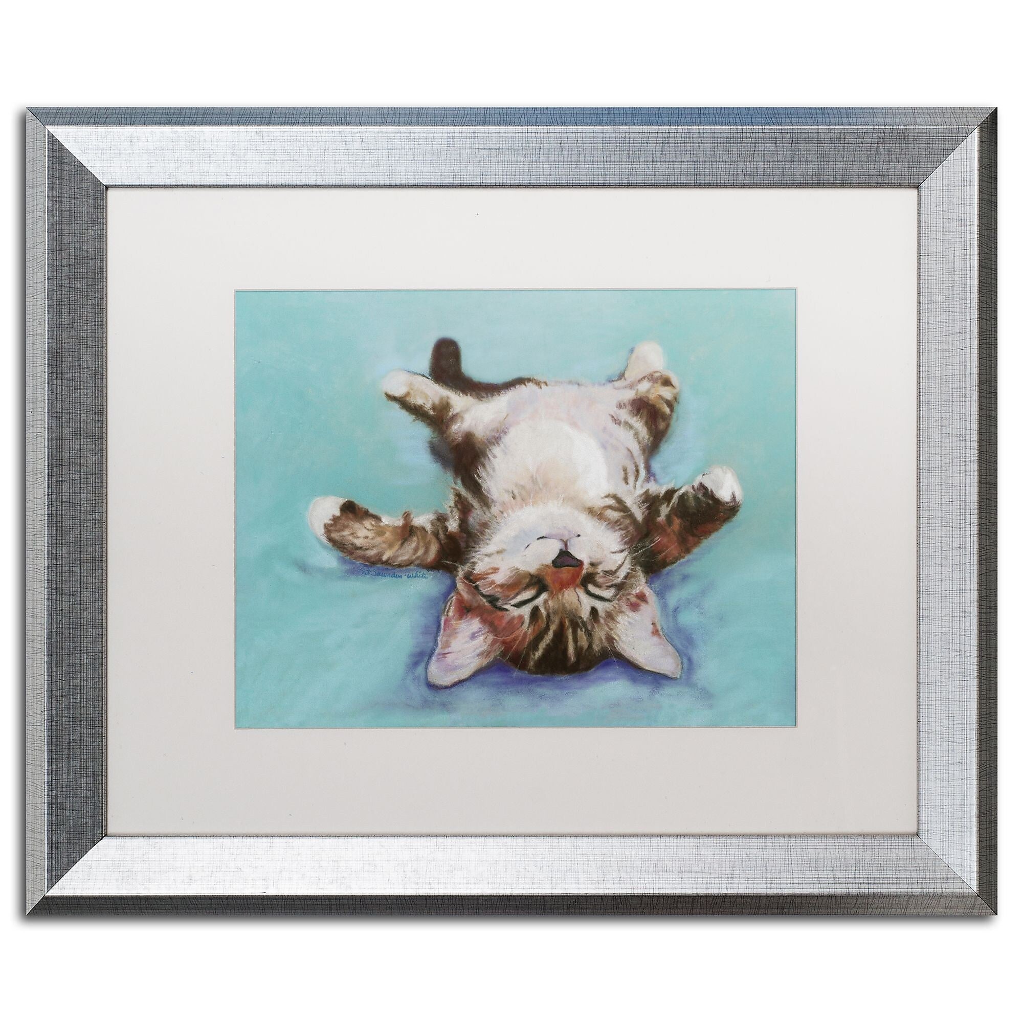 Trademark Fine Art ''Little Napper'' by Pat Saunders 16" x 20" White Matted Silver Frame (PS005-S1620MF)
