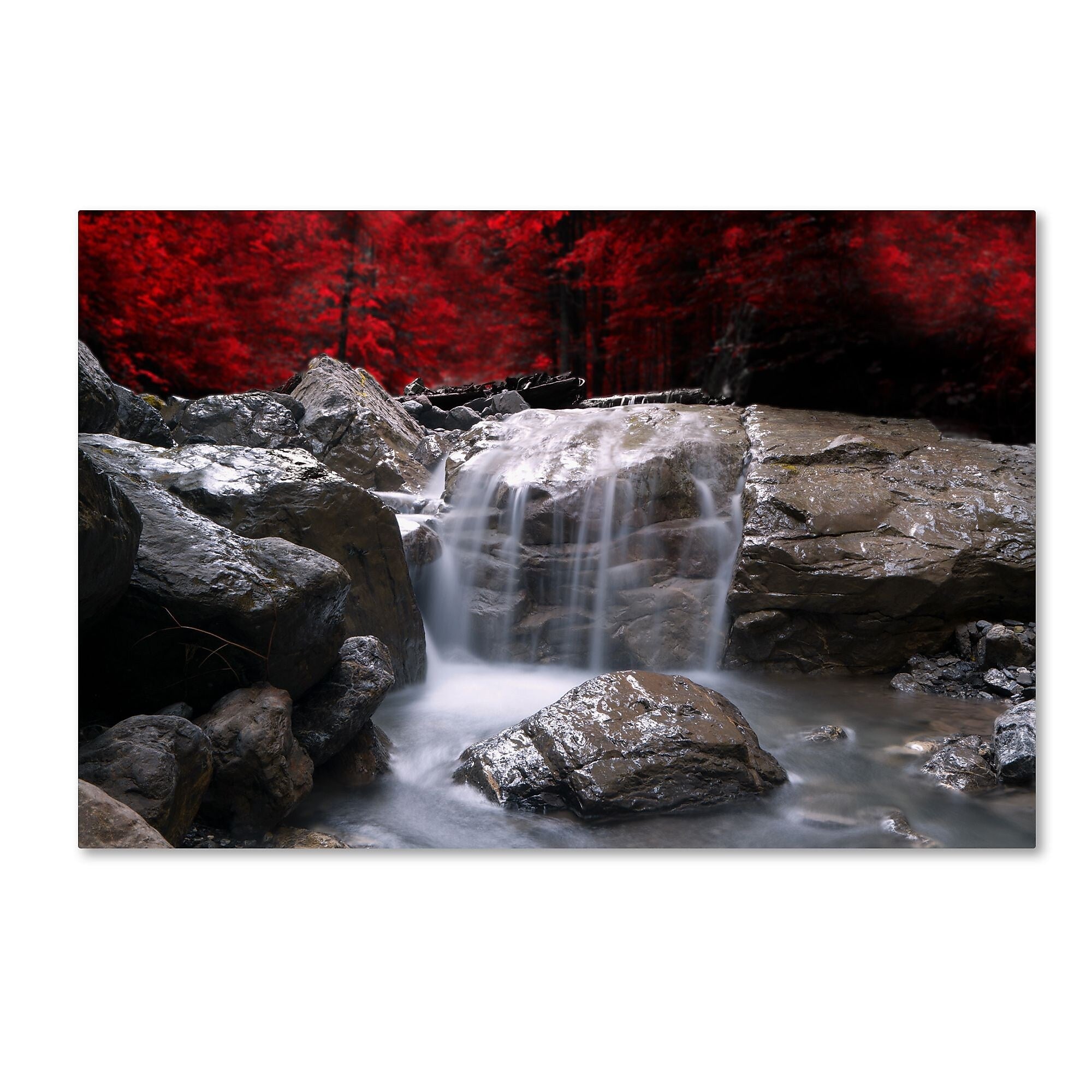 Trademark Fine Art ''Red Vison'' by Philippe Sainte-Laudy 12" x 19" Canvas Art (PSL0130-C1219GG)